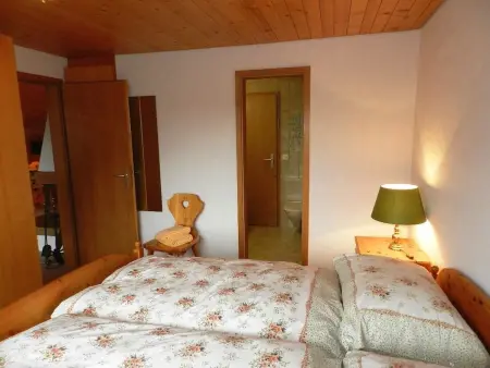 Hornflue (Baumann), Appartement 4 personnes à Saanen - Photo 24