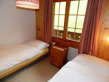 Hornflue (Baumann), Appartement 4 personnes à Saanen - Photo 25