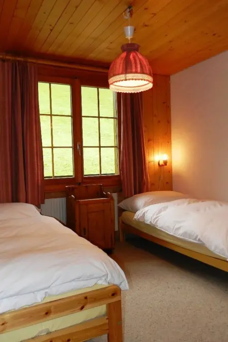 Hornflue (Baumann), Appartement 4 personnes à Saanen - Photo 26