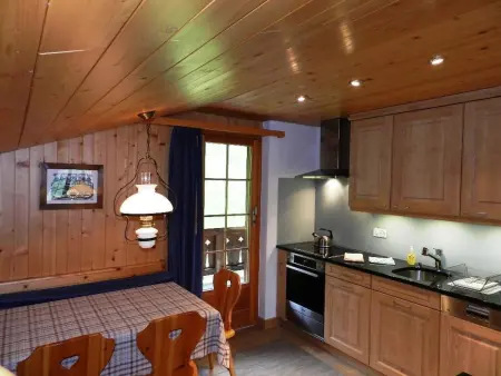 Hornflue (Baumann), Appartement 4 personnes à Saanen - Photo 27