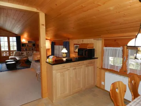 Hornflue (Baumann), Appartement 4 personnes à Saanen - Photo 30