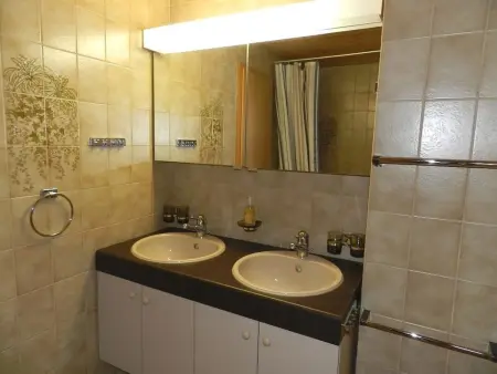 Hornflue (Baumann), Appartement 4 personnes à Saanen - Photo 32