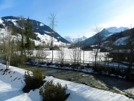 La Sarine 212, Appartement 2 personnes à Gstaad - Photo 6