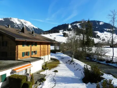 La Sarine 212, Appartement 2 personnes à Gstaad - Photo 7
