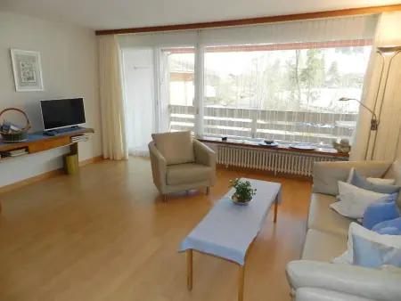 La Sarine 212, Appartement 2 personnes à Gstaad - Photo 14