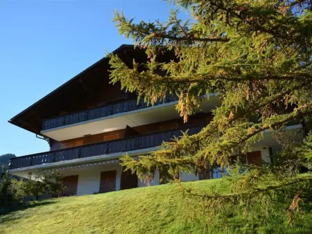 Hornflue (Wohlwender), Appartement 2 personnes à Saanen - Photo 1