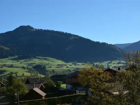 Hornflue (Wohlwender), Appartement 2 personnes à Saanen - Photo 8