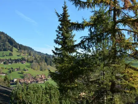 Hornflue (Wohlwender), Appartement 2 personnes à Saanen - Photo 10