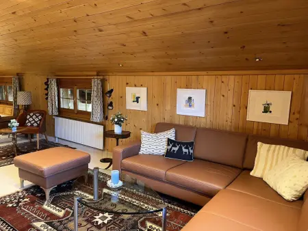 Hornflue (Wohlwender), Appartement 2 personnes à Saanen - Photo 13