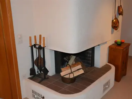 Hornflue (Wohlwender), Appartement 2 personnes à Saanen - Photo 17