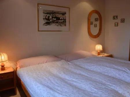 Hornflue (Wohlwender), Appartement 2 personnes à Saanen - Photo 18