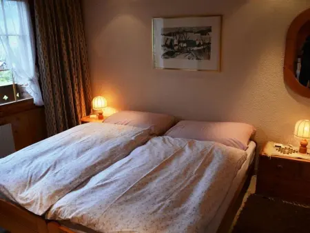 Hornflue (Wohlwender), Appartement 2 personnes à Saanen - Photo 19