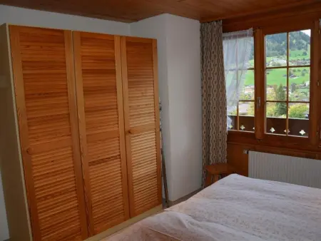 Hornflue (Wohlwender), Appartement 2 personnes à Saanen - Photo 20