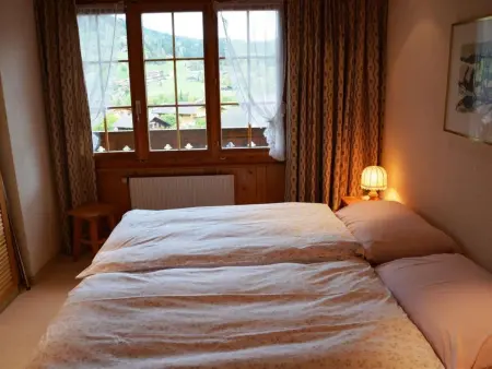 Hornflue (Wohlwender), Appartement 2 personnes à Saanen - Photo 21