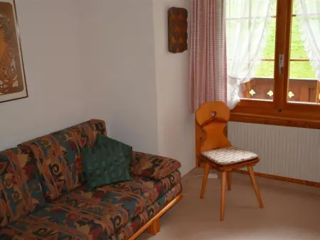 Hornflue (Wohlwender), Appartement 2 personnes à Saanen - Photo 22