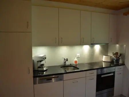 Hornflue (Wohlwender), Appartement 2 personnes à Saanen - Photo 25