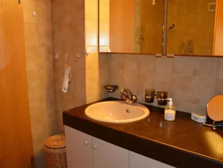 Hornflue (Wohlwender), Appartement 2 personnes à Saanen - Photo 31