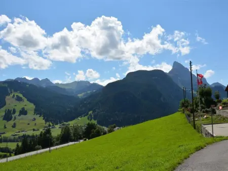 Rehweid (EG), Appartement 5 personnes à Saanen - Photo 3