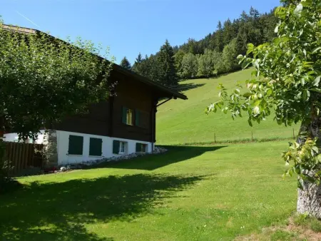 Rehweid (EG), Appartement 5 personnes à Saanen - Photo 4