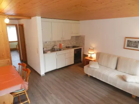 Résidence Sonnegg (Vuilleumier), Appartement 4 personnes à Zweisimmen - Photo 8