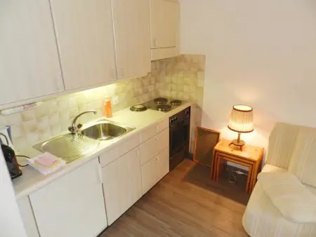 Résidence Sonnegg (Vuilleumier), Appartement 4 personnes à Zweisimmen - Photo 12