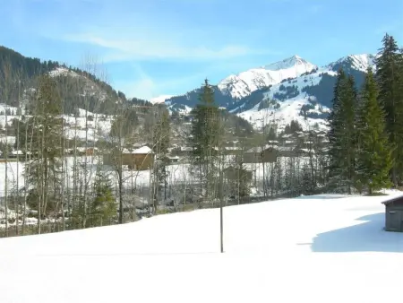Steimandli, Appartement 2 personnes à Gstaad - Photo 2
