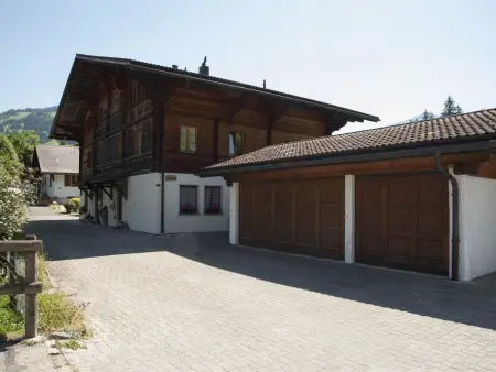 Steimandli, Appartement 2 personnes à Gstaad - Photo 4