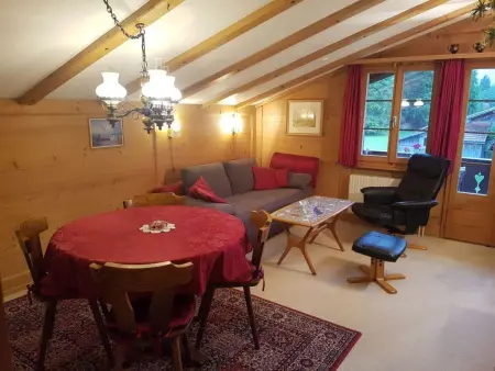 Steimandli, Appartement 2 personnes à Gstaad - Photo 5