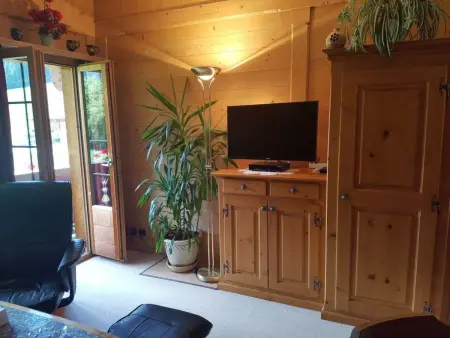 Steimandli, Appartement 2 personnes à Gstaad - Photo 7