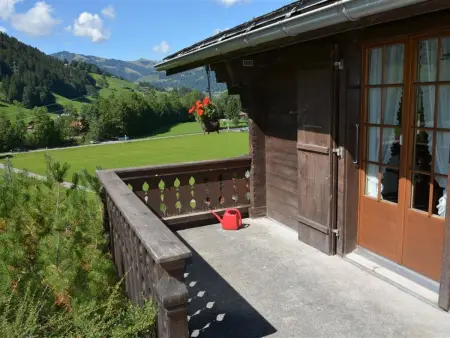 Arduus, Appartement 4 personnes à Gstaad - Photo 2