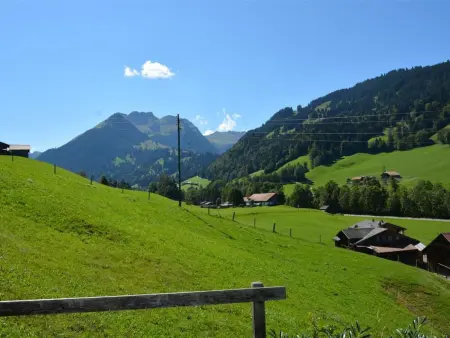 Arduus, Appartement 4 personnes à Gstaad - Photo 3