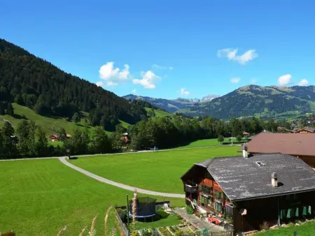 Arduus, Appartement 4 personnes à Gstaad - Photo 4