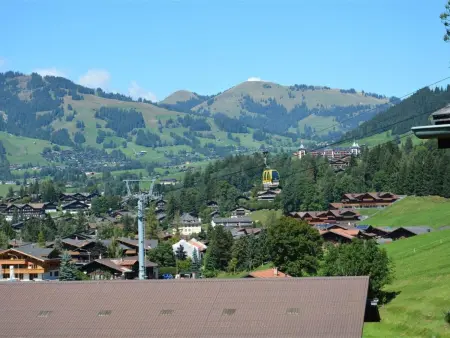 Arduus, Appartement 4 personnes à Gstaad - Photo 5