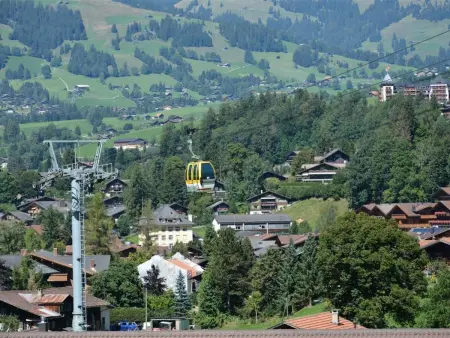 Arduus, Appartement 4 personnes à Gstaad - Photo 6