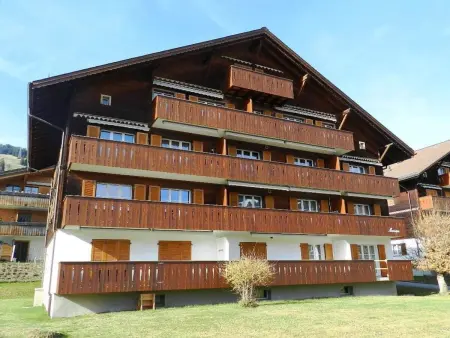 Monique Nr. 14, Appartement 5 personnes à Schönried - Photo 2