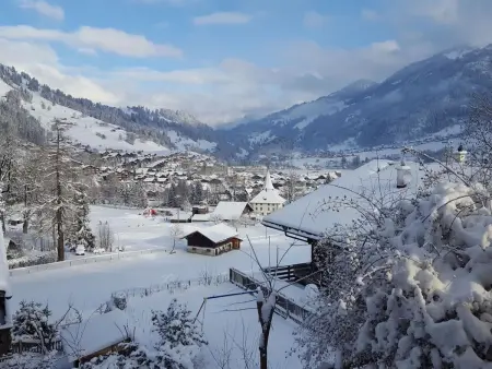 Burkhalter, Appartement 7 personnes à Zweisimmen - Photo 2