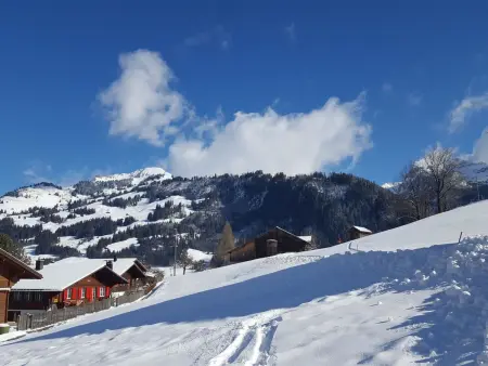 Burkhalter, Appartement 7 personnes à Zweisimmen - Photo 3