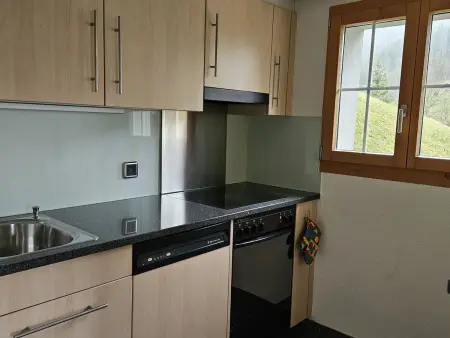 Burkhalter, Appartement 7 personnes à Zweisimmen - Photo 17