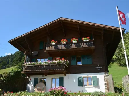 Rehweid (2. Stock), Appartement 5 personnes à Saanen - Photo 1