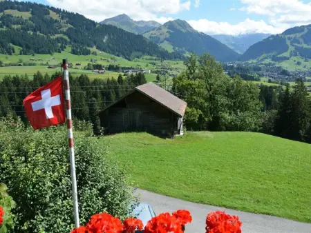 Rehweid (2. Stock), Appartement 5 personnes à Saanen - Photo 3