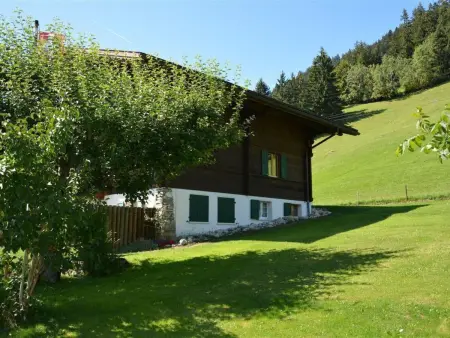Rehweid (2. Stock), Appartement 5 personnes à Saanen - Photo 6