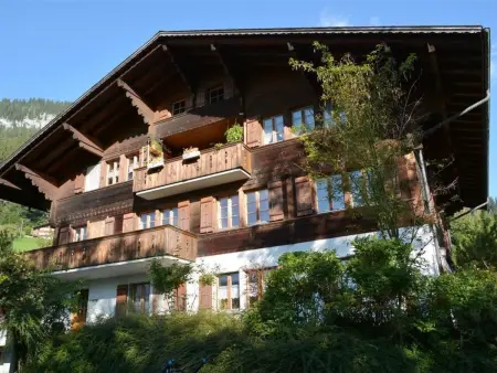 Akelei (gross), Appartement 8 personnes à Zweisimmen - Photo 1