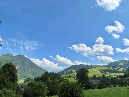 Akelei (gross), Appartement 8 personnes à Zweisimmen - Photo 12