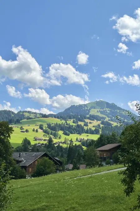 Akelei (gross), Appartement 8 personnes à Zweisimmen - Photo 13