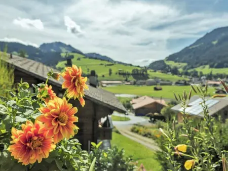 Christeli, Appartement 2 personnes à Zweisimmen - Photo 8