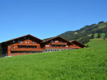Mireille Nr. 4, Appartement 4 personnes à Schönried - Photo 2