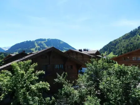 Im Wiesengrund, Appartement 4 personnes à Gstaad - Photo 4