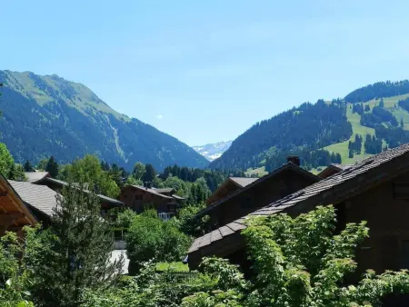 Im Wiesengrund, Appartement 4 personnes à Gstaad - Photo 5