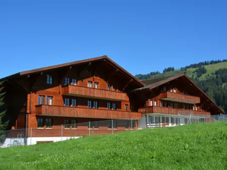 Henry (Tiefparterre), Appartement 8 personnes à Schönried - Photo 2