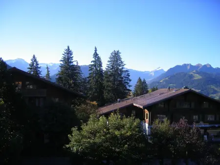 Arlette Nr. 30, Appartement 3 personnes à Schönried - Photo 2